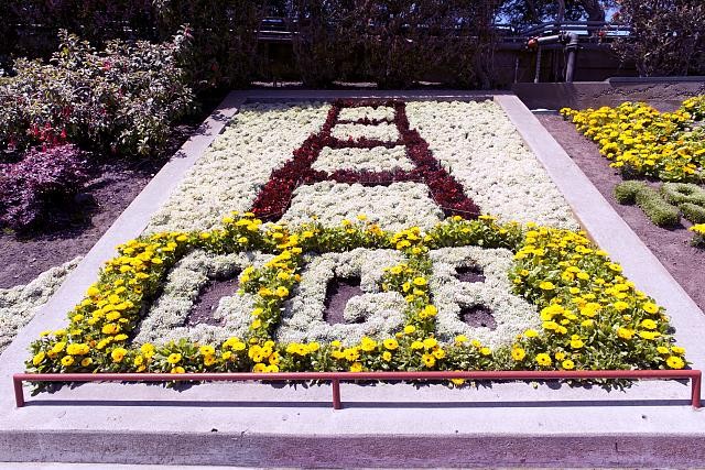 Photo:GGB flowers at The Golden Gate Bridge,San Francisco,California