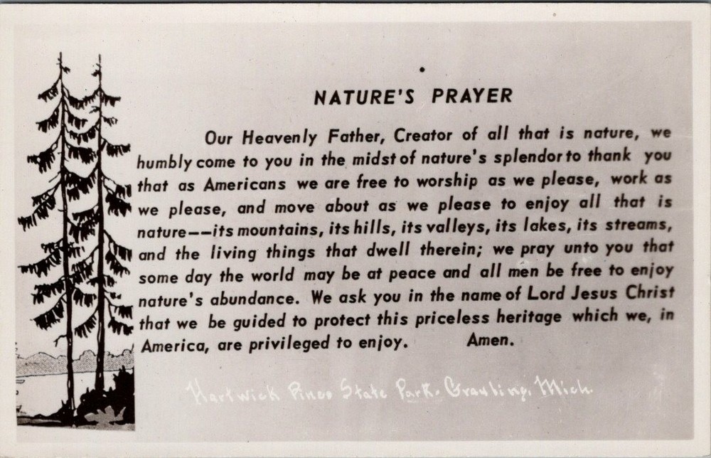 Nature's Prayer, Hardwick Pines State Park, GRAYLING, MI Real Photo Postcard