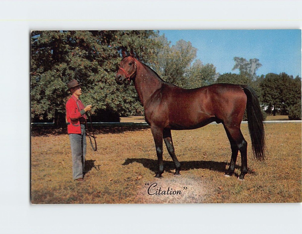 Postcard Citation Calumet Farm Lexington Kentucky USA