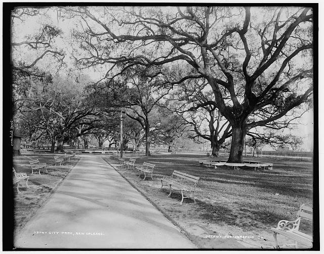 Photo:City park, New Orleans