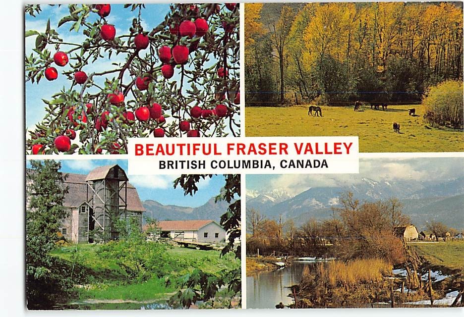 Postcard Beautiful Fraser Valley Canada