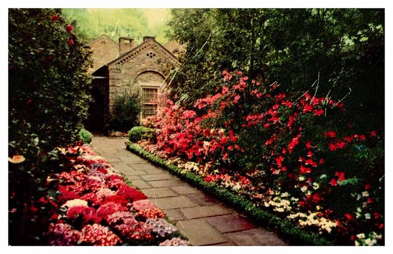 Postcard HOUSE SCENE Mobile Alabama AL m/09 AU4449