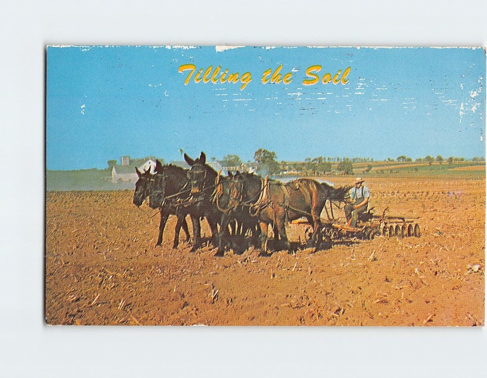 Postcard Tilling the Soil Greetings From The Amish Country Pennsylvania USA