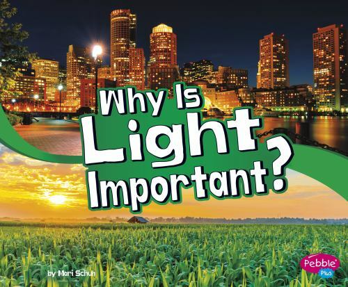 Why Is Light Important?, Paperback by Schuh, Mari, Like New Used, Free shippi...