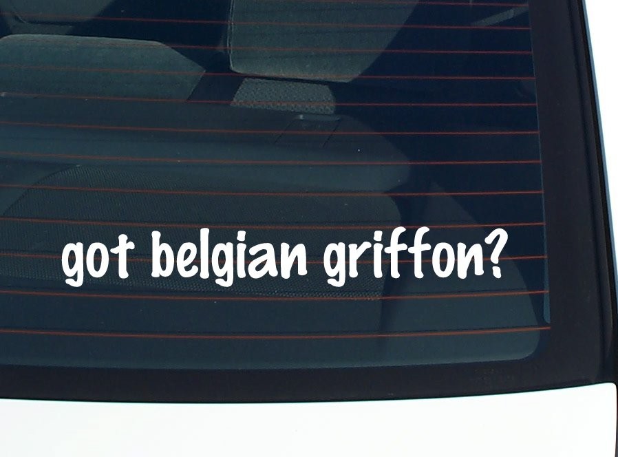 Belgian Griffon Car Decal Funny Bumper Sticker Vinyl Window Joke