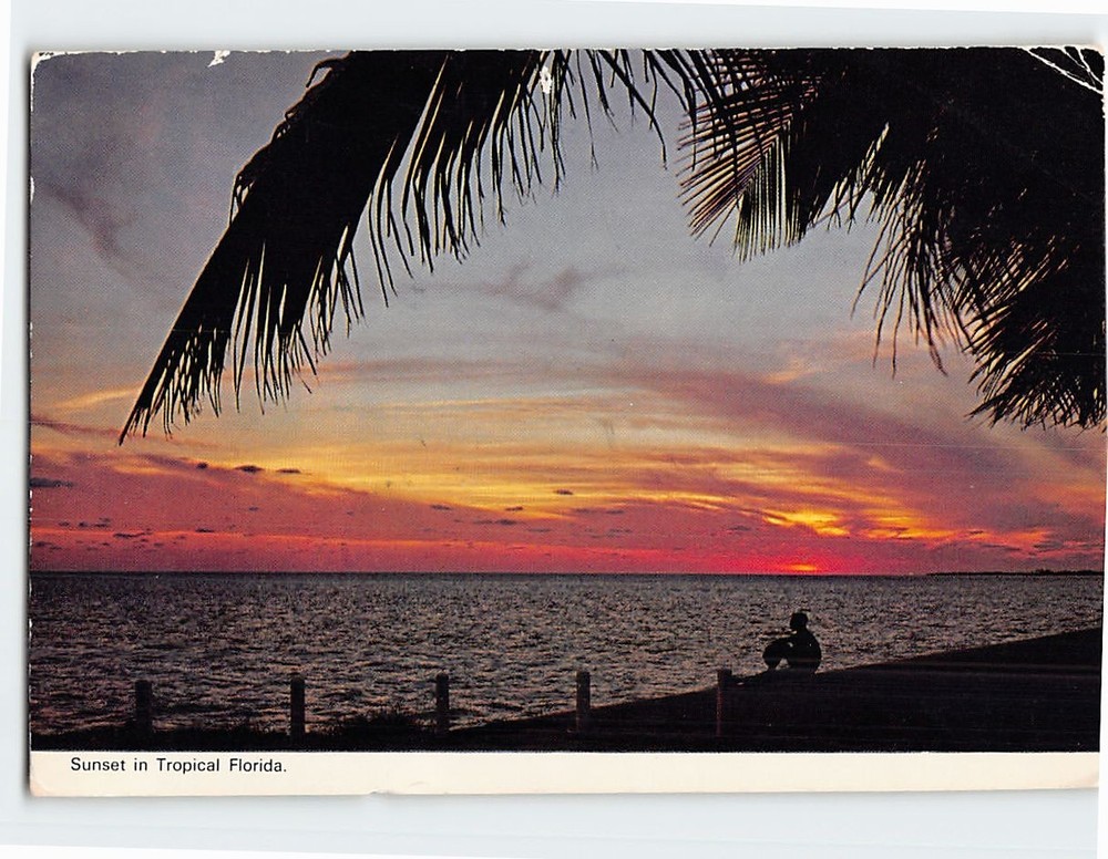 Postcard Sunset in Tropical Florida USA