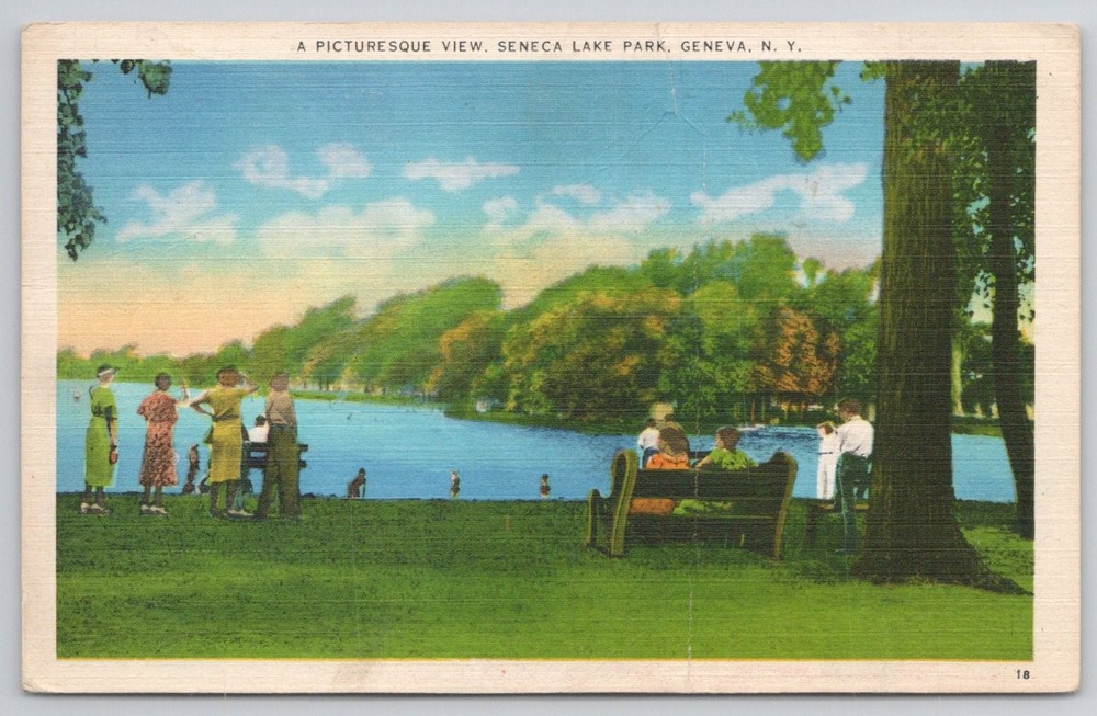 Seneca Lake Park Geneva NY Linen Postcard Wm. Jubb Co. Scenic View