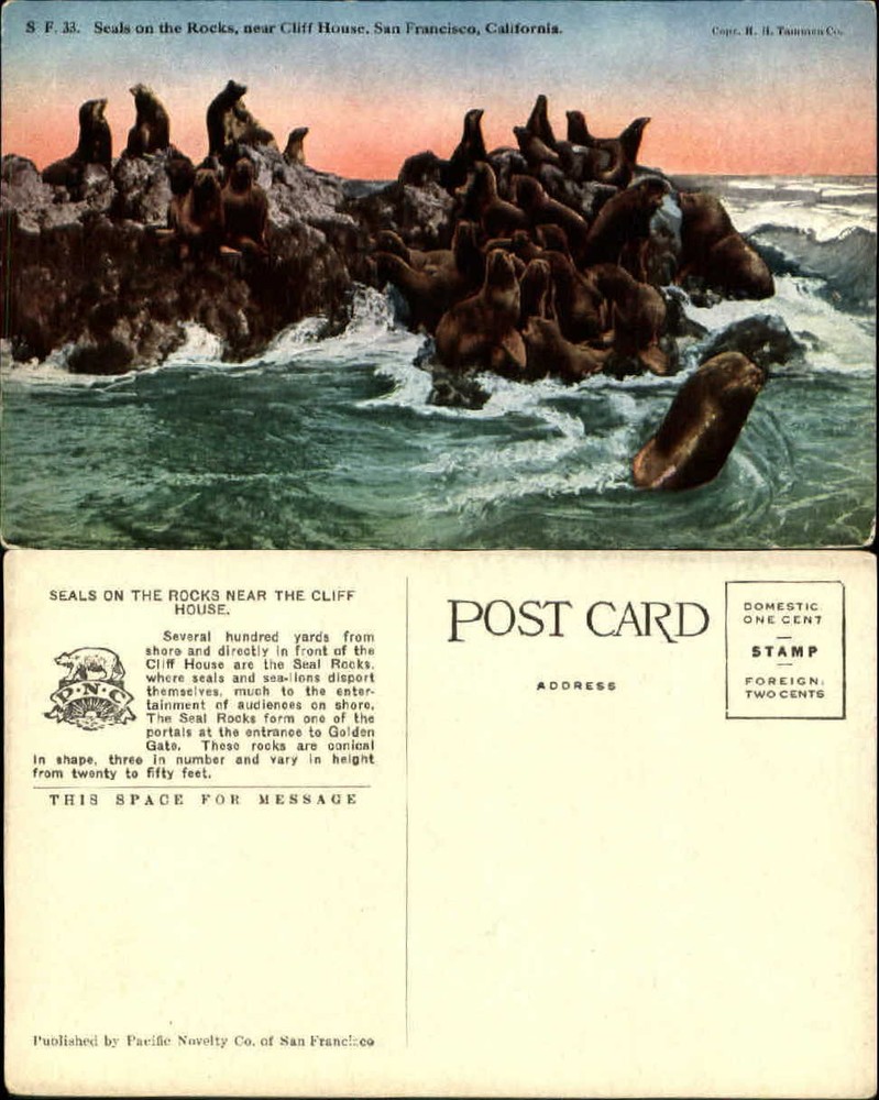 Seals on Rocks near Cliff House San Francisco California~HH Tammen Pub ~ c1910
