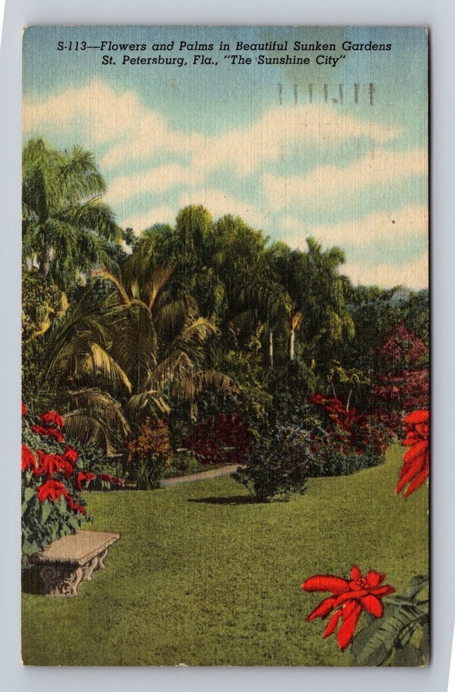 Florida FL St Petersburg Flowers And Palms Sunken Gardens Vintage Postcard