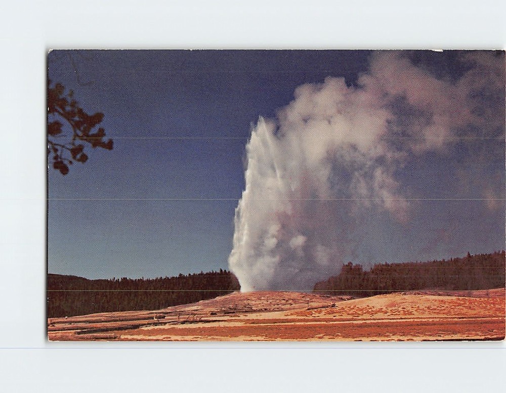 Postcard Old Faithful Geyser Yellowstone National Park Wyoming USA