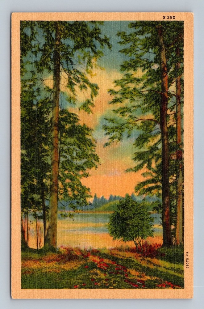 Vintage C.T. Art-Colortone Lake Shore Scene Postcard by Curt Teich