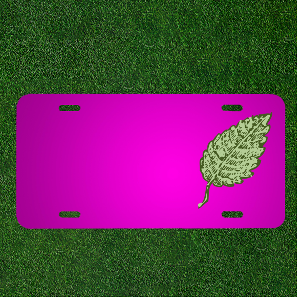 Design Your Leaf Green Custom Car License Plate with Personalized Names