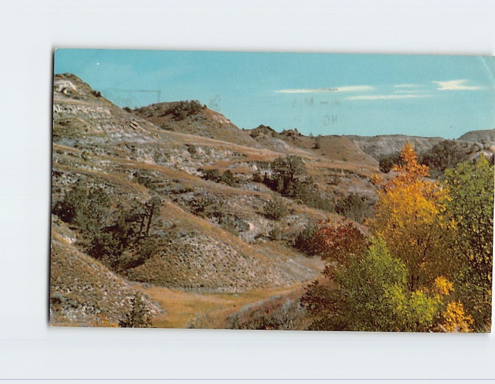 Postcard Theodore Roosevelt National Memorial Park South Unit North Dakota USA
