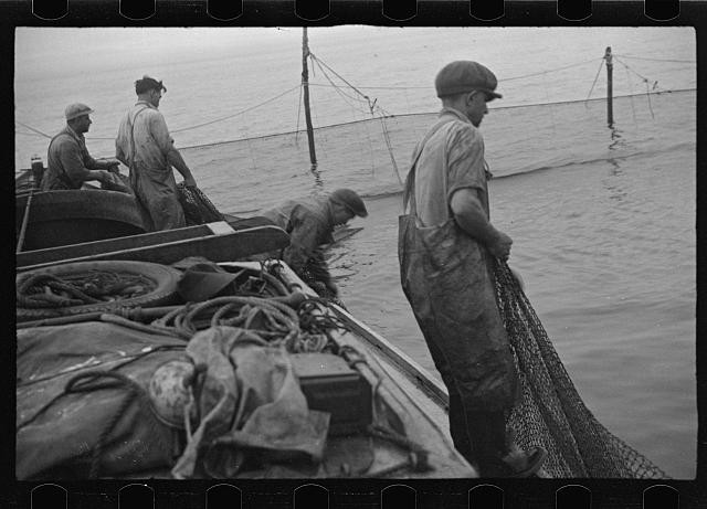 Photo:Provincetown Massachusetts 1937 Trap Fishing Boat Men Pulling Net