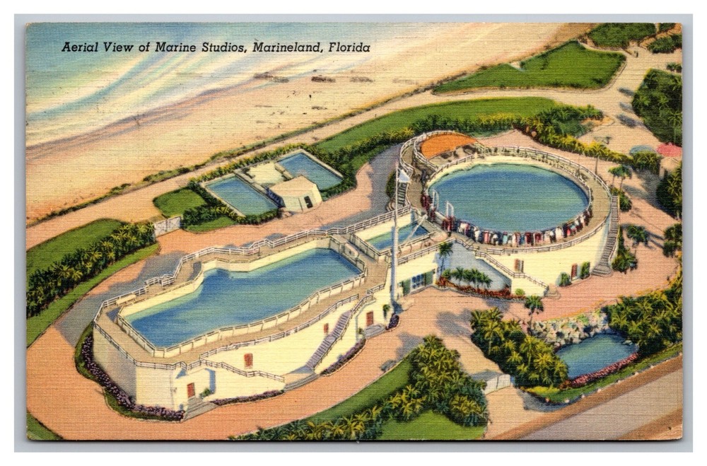 Marineland FL Florida Aerial View Marine Studios Posted 1940 Linen Postcard