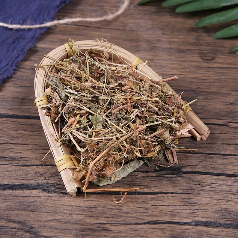 Organic Herbal Cardiospermum Halicacabum Lesser Balloon Vine Healthy Tea