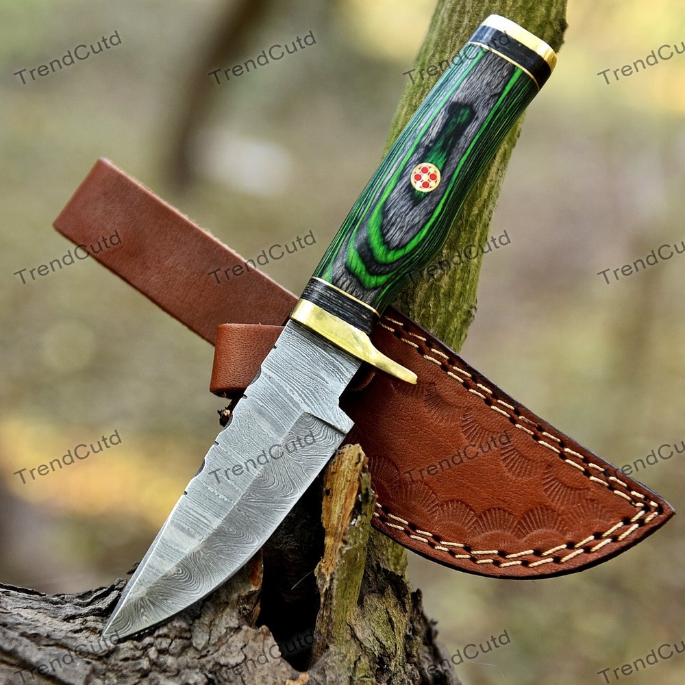 Custom Damascus Steel Fixed Blade Skinner Hunting Knife Handcrafted ha18