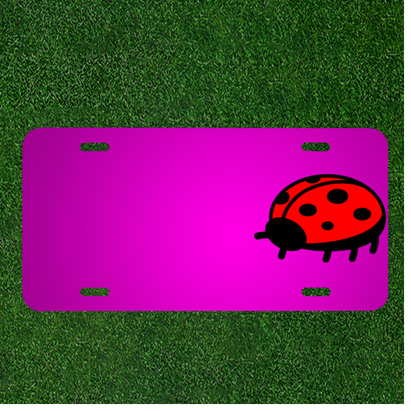 Custom Personalized Ladybug Flying Car License Plate Featuring Names