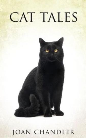 Cat Tales