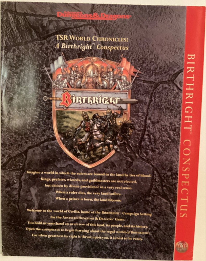 Advanced Dungeons & Dragons Birthright RPG Promotional Release Map Poster MINT