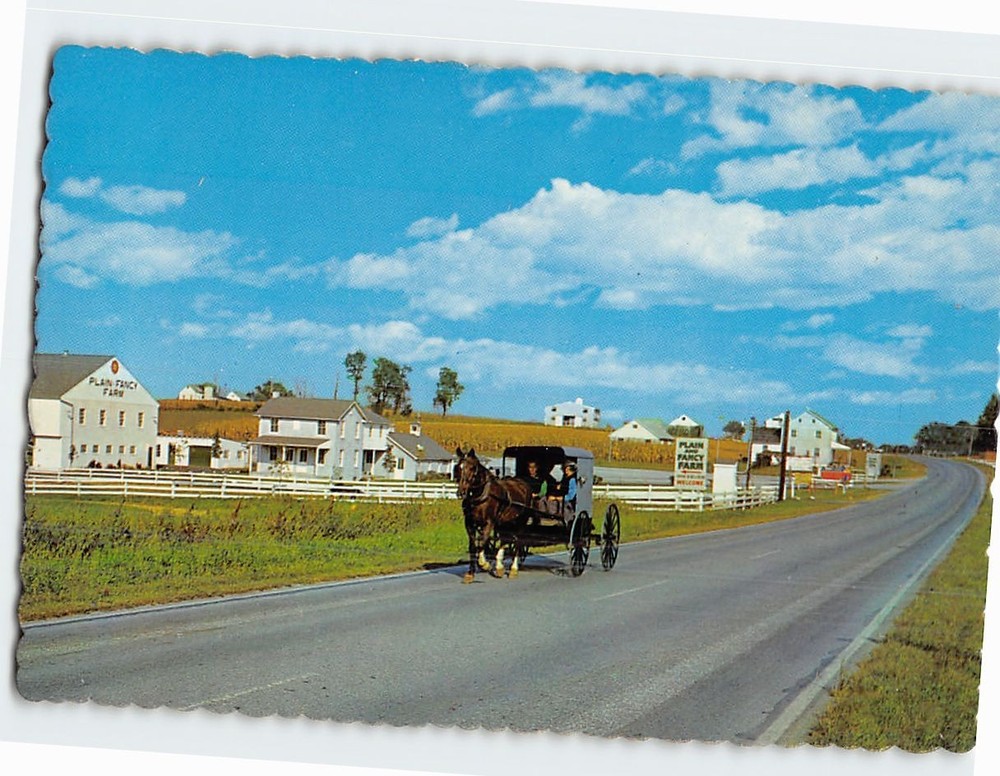 Postcard Amish Family Buggy Pennsylvania USA