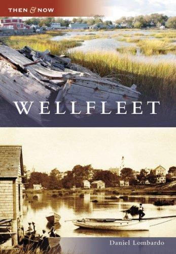 Wellfleet, Paperback by Lombardo, Daniel, Like New Used, Free shipping in the US