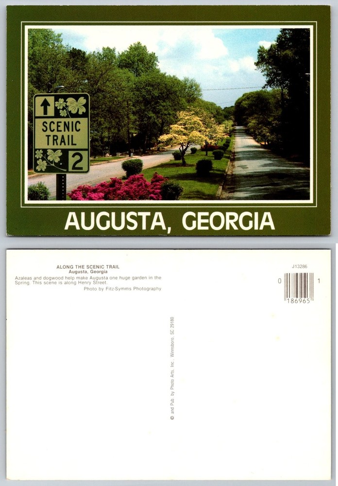 Augusta GA Scenic Trail Henry Street Azaleas Dogwood Spring Postcard