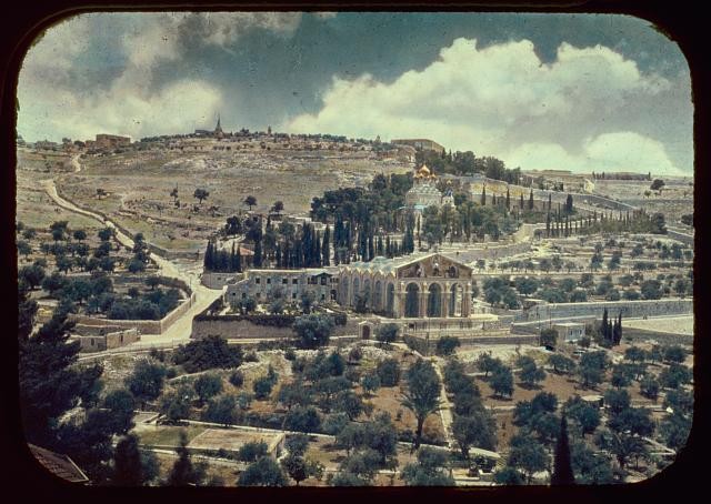 Photo:Jerusalem Israel Mount of Olives Bethany 1950s City Wall View