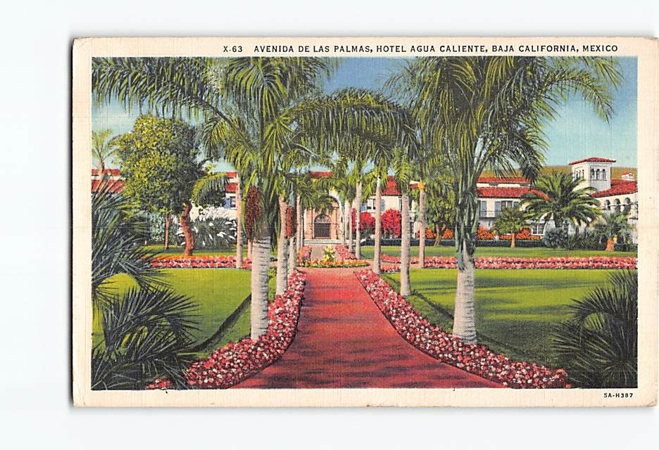 Postcard Hotel Agua Caliente Avenida de las Palmas Tijuana B. California Mexico