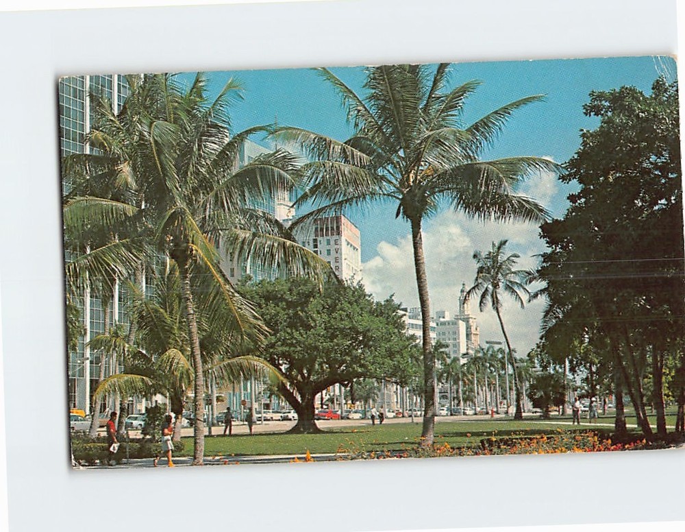 Postcard Looking from Bayfront Park at Biscayne Blvd. Miami Florida USA