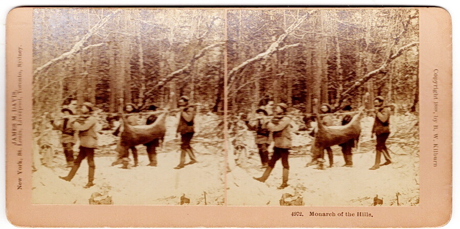 Monarch of the Hills, No 4972, B. W. Kilburn Stereoview, 1889, HUNTING THEME