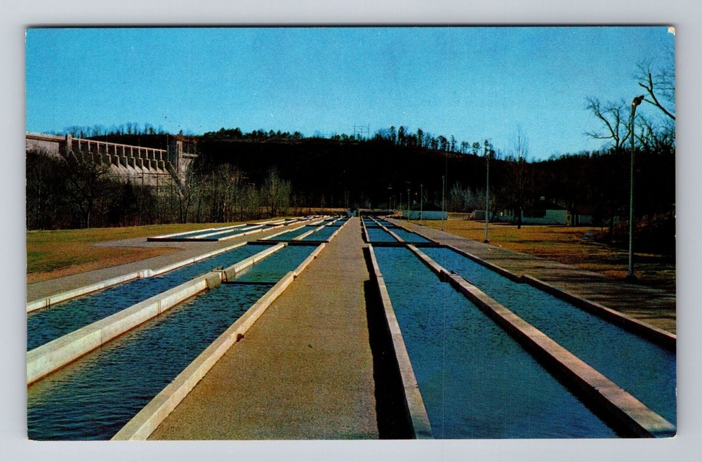 Mountain Home AR-Arkansas, US Trout Hatchery, Antique, Vintage Souvenir Postcard