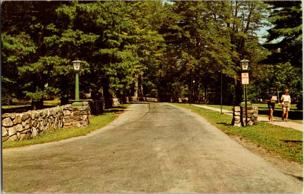 Pre-1980 ENTRANCE TO FOREST INN Eagles Mere Pennsylvania PA m/14 BC1259