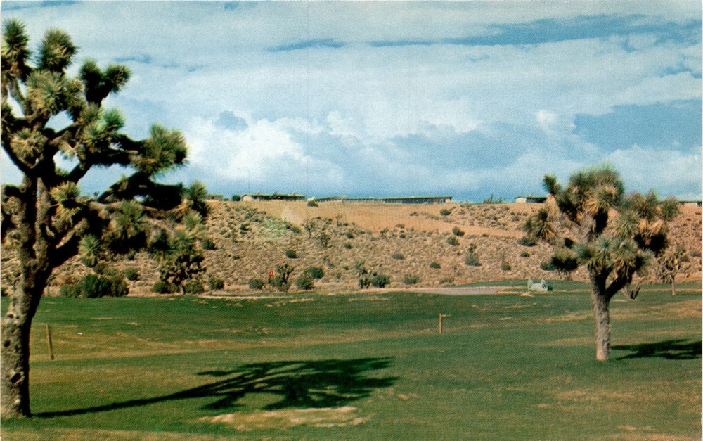 Golf Course, Hesperia, California, Hesperia Inn, Joshua Tree, Yucc Postcard