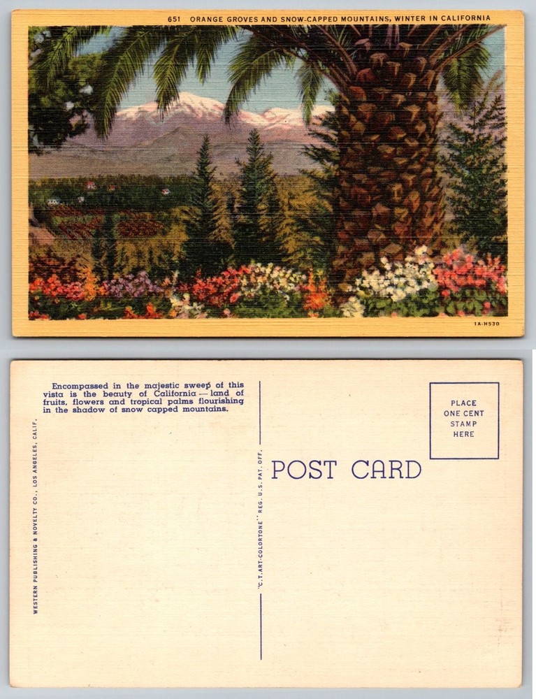Winter in California Linen Postcard: Orange Groves & Snow-Capped Mountains