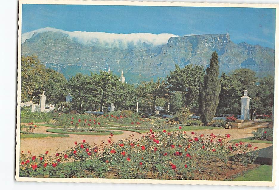 Postcard Table Mountain Cape Town Gardens South Africa