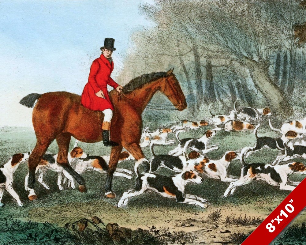RIDER & HOUNDS FOX HUNT HORSE EQUESTRIAN HUNTING ART PAINTING REAL CANVAS PRINT
