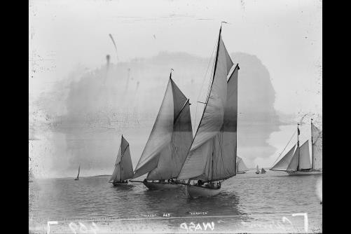 Wasp,Carmita,sloop,yachts,water vessels,boats,ships,Detroit Publishing Co,1896
