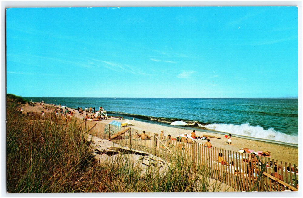 National Seashore Cape Cod Massachusetts Vtg Postcard
