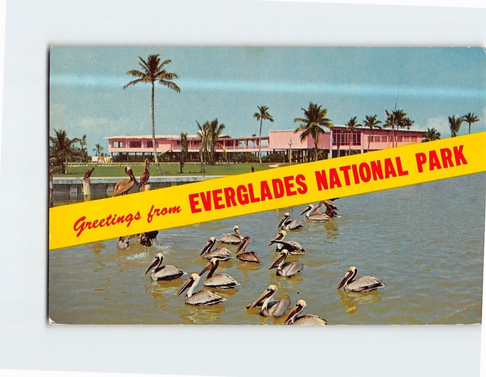 Postcard Greetings from Everglades National Park Florida USA