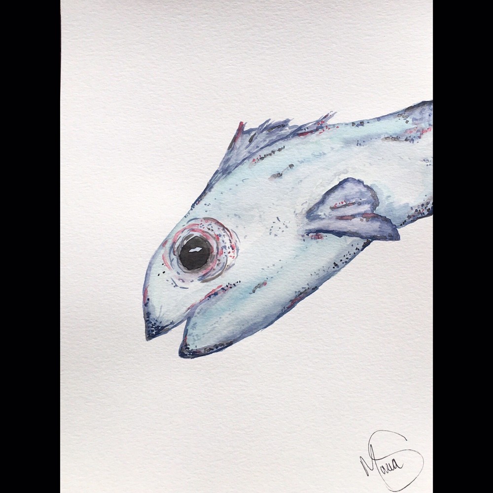 Maria Scalf Fish Ocean Sea Fishing Outdoors ORIGINAL PAINTING Watercolor 9x12