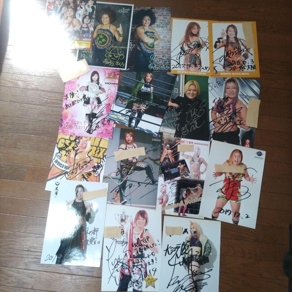 Stardom women wrestling portrait