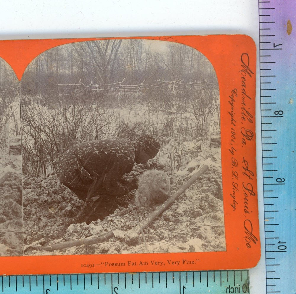 African American Hunting Possum Keystone Stereoview