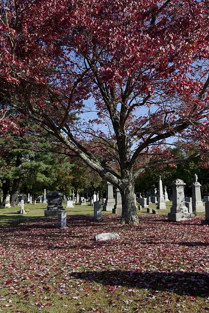 Photo:St. John Cemetery,Darien,Connecticut 3