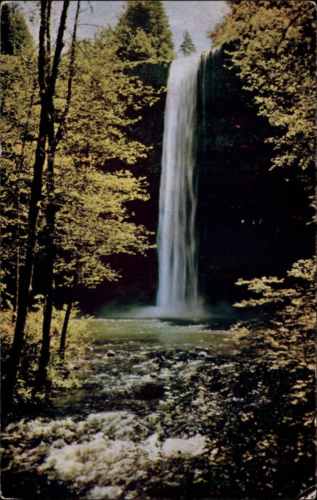Oregon Silver Creek Falls State Park ~ 1950-60s vintage postcard