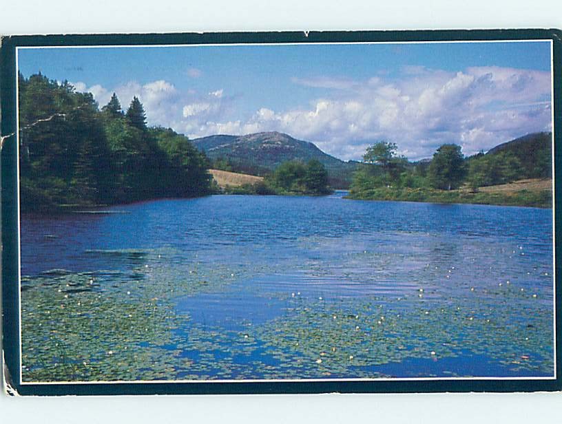 1980's LONG POND Seal Harbor - Mount Desert Island - Bar Harbor Maine ME AD5835