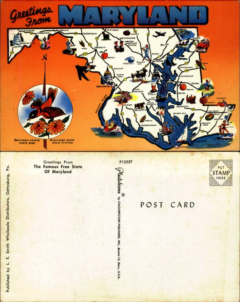 Maryland map postcard Oriole Black-Eyed Susan bird flower unused sku563