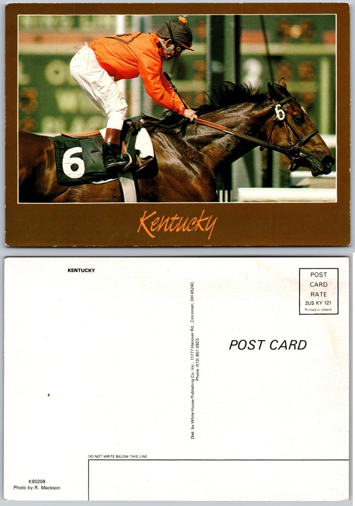 Continental Kentucky Horse Racing Postcard