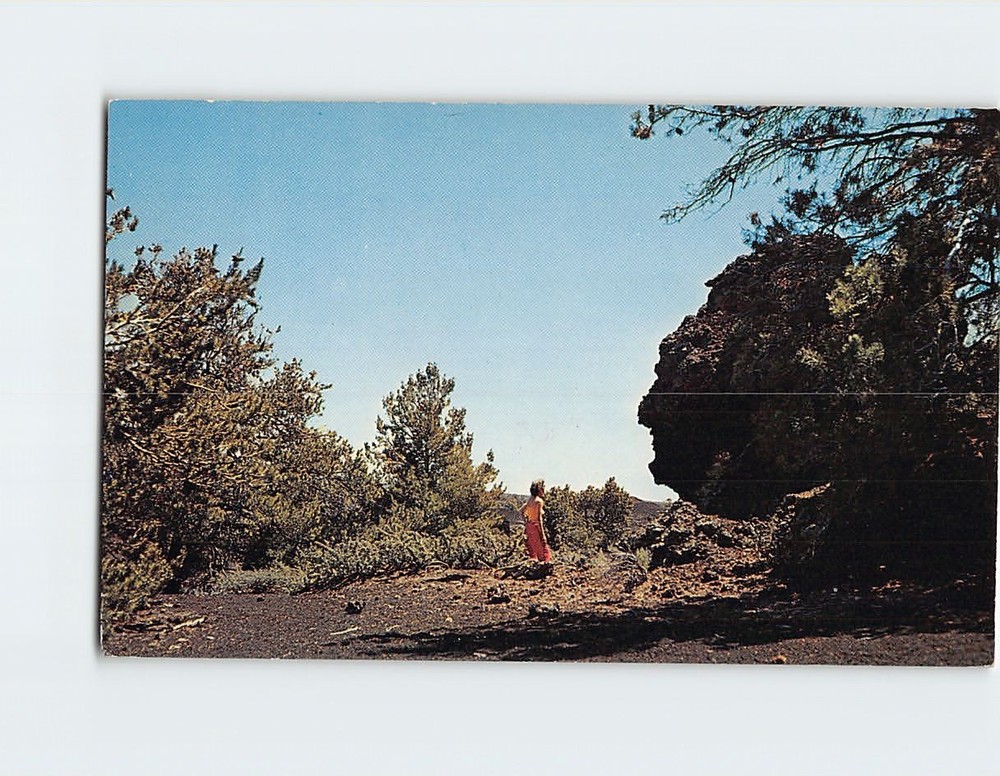 Postcard Old Man of the Craters Of The Moon National Monument Idaho USA