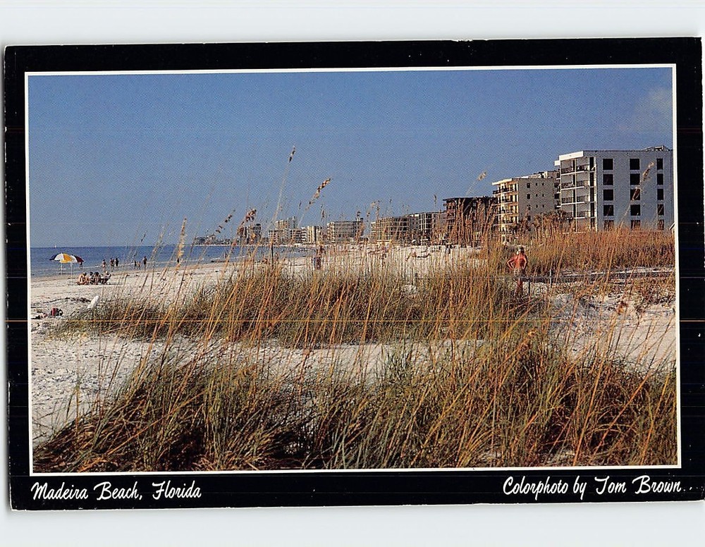 Postcard Madeira Beach Florida USA